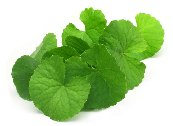 Gotu Kola mit Prostamin Forte