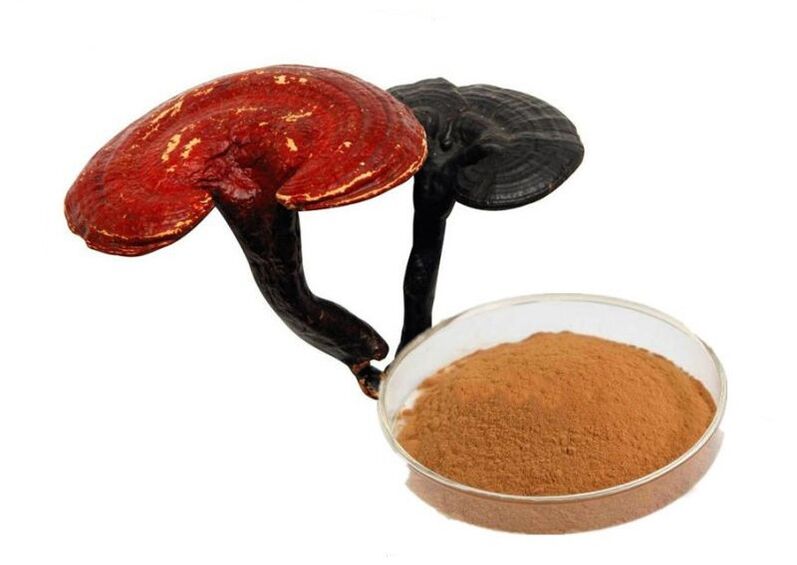 Reishi-Pilz-Extrakt-Kapseln Prostamin Forte