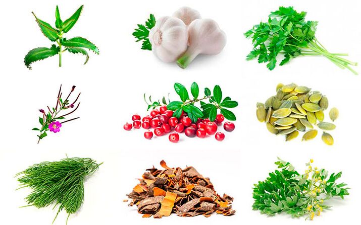 Volksheilmittel zur Behandlung von Prostatitis